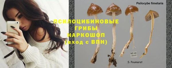 a pvp Бородино