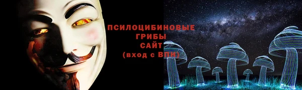 2c-b Бронницы