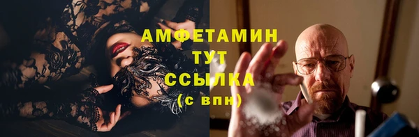 a pvp Бородино
