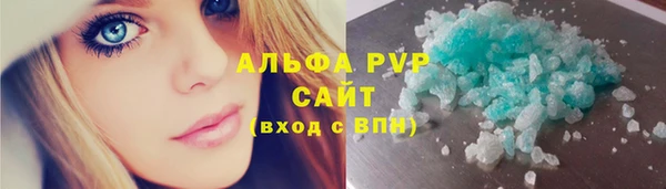 a pvp Бородино
