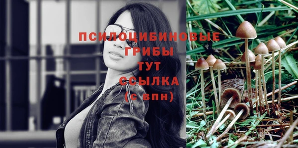 2c-b Бугульма