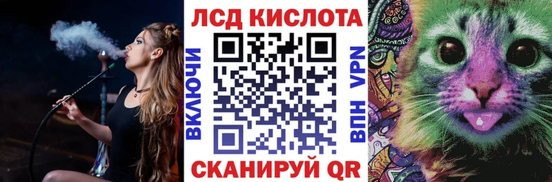 ссылка на мегу как зайти  Чита  Наркотические марки 1500мкг 