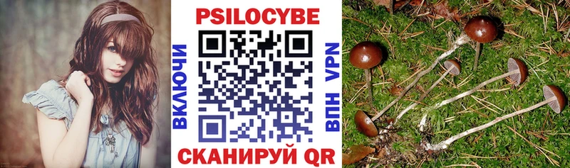 Галлюциногенные грибы Magic Shrooms  Чита 